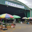 중앙채소