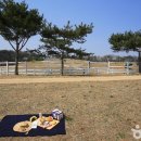 원당목장 이미지