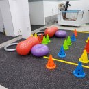 UN동물의료센터 이미지