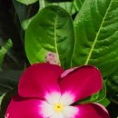 정다운세탁소 이미지