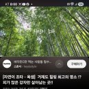 🤗 가수님의 (VLOG)브이로그 이미지