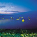 당암경로당 이미지