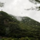 만인산농협복수지점 이미지