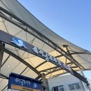 달라스김밥햄버거 | [삼척2편]삼척중앙시장 시장음식 추천 35년달라스햄버거 참피온닭강정 옥수수 냠냠