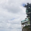 돌고래마루민박펜션 이미지