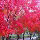 2019-주104 이미지