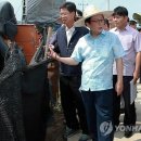 감곡양계 이미지