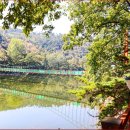 입곡군립공원(출렁다리) 이미지