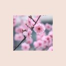 매화휘트니스 이미지