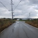 롯데비전공인중개사사무소 이미지