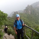 계룡산 Daum카페