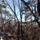 장원초등학교 이미지