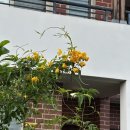 국앤밥 | 3월 시드니, 차일드케어 | 이스트우드 밀양국밥 | 비원 간짜장 | 로즈 산전 마사지 | 홈부쉬 정육식당