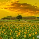 가을노을C 이미지