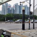 8월 넷째주 주간일기(08.26~09.01) 회식🍻 외식🍽 추석 기차표🚅야근👩‍🔬 LCK🎮 T1🕹 용인와이페이🐉