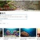 물꼬기 브런치
