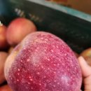 진솔2농장 이미지