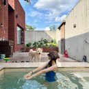 러스틱문 | 춘천 반려견 동반 풀빌라 펜션 추천ㅣ러스틱문 루터 내돈내산 후기