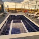 프리 펜션 이미지