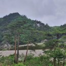 양양 고인돌 오토캠핑장 이미지