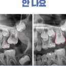 서울하상운치과교정과치과의원 이미지