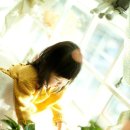 소풍 스튜디오