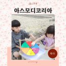 유아 보드게임 | 5세 6세 7세 보드게임추천 한글 몰라도 재미있는 어린이 유아보드게임 2종