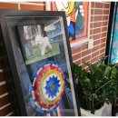 대구강아지분양 마마스미독 본점 이미지