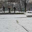 석촌호수동물병원 이미지