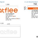 서울잔넬