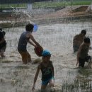 선유1리 이미지