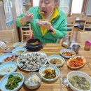 모녀청과 이미지