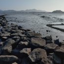 징검다리 이미지