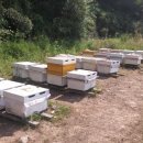 하청농장 이미지