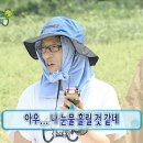 다이 이미지