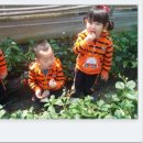 거송농장 이미지