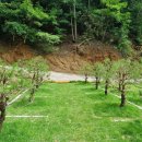 지수목장 이미지