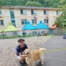 백담 파인밸리 이미지