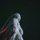 다이아몬드지 Daum카페