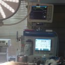 블루동물종합병원 이미지