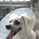 오션동물메디컬센터 이미지