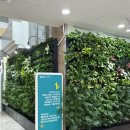 경주시보건소 | 경주보건소 산전 엽산지원 신혼부부 예비부부