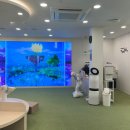 부산진구어린이청소년도서관 | 부산진구어린이청소년도서관 | 들락날락 실내놀이터