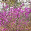 두송반도 이미지