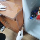 정읍보은약국 | 경산 바퀴벌레퇴치 :: 부담없는 월관리 / 단 한번의 작업으로 퇴치