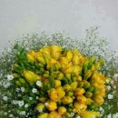 바퀴달린그림책 이미지