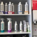 바둑이 애견 이미지