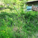 설악농장 이미지