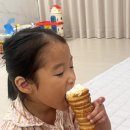바우파이 이미지