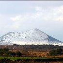 마중 가던 길 이미지